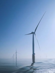 輝煌的電力奇跡 記錄火電、光伏、風電、水電輸配電人最驕傲的一刻