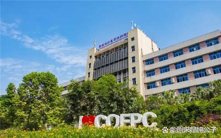 人生開卷考 在重慶電力高等?？茖W校與“輸配電”的那些淬煉時光