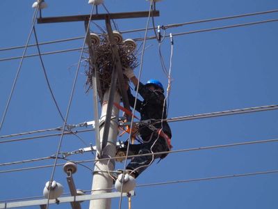 輸配電線路的故障排查及維護 學習一點，獻給每一位輸配電人
